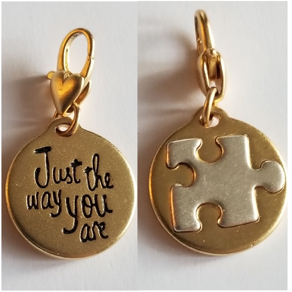 Amanda Blu Autism Puzzle Piece just the way you are clip charm - Picture 1 of 8
